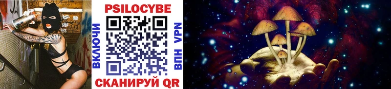 Псилоцибиновые грибы Cubensis  Купить закладки  Вольск 